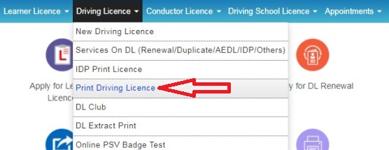 Driving Licence Download PDF